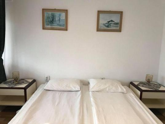 Engi Panzio Bed & Breakfast Ocna de Sus ภายนอก รูปภาพ