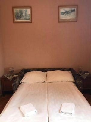 Engi Panzio Bed & Breakfast Ocna de Sus ภายนอก รูปภาพ