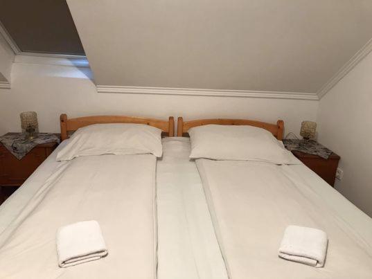 Engi Panzio Bed & Breakfast Ocna de Sus ภายนอก รูปภาพ
