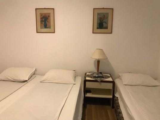 Engi Panzio Bed & Breakfast Ocna de Sus ภายนอก รูปภาพ